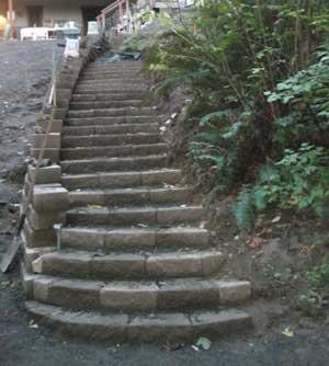 Steps along the driveway